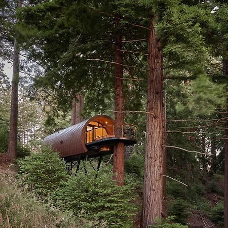 ~* The Spectacular Spyglass Treehouse *~ Occidental Kültér fotó