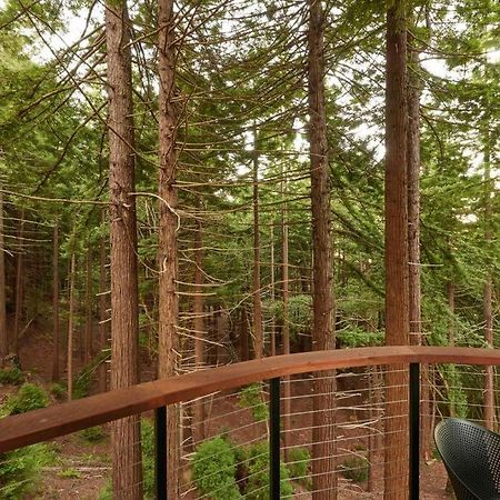 ~* The Spectacular Spyglass Treehouse *~ Occidental Kültér fotó