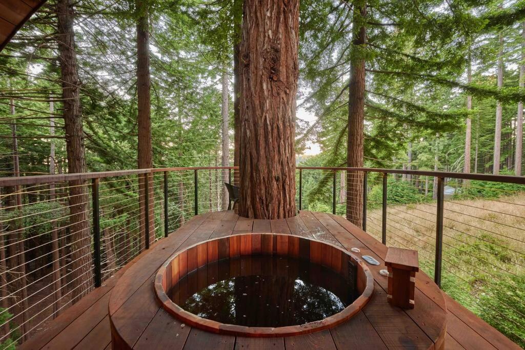 ~* The Spectacular Spyglass Treehouse *~ Occidental Kültér fotó